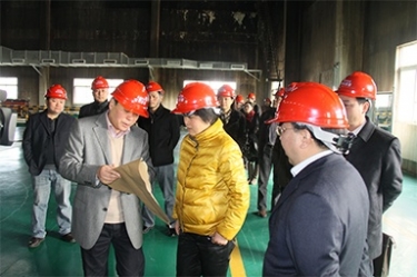 2012年1月31日，时任黄冈市委书记鲁俊携带市发改委等市级部门掌管人到公司调研