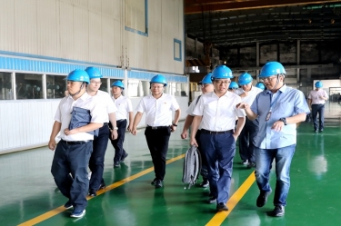 2020年9月8日,时任商务部亚洲司副司长杨伟群、马来西亚驻华使馆公使施志光莅临918博天堂纸业对马来西亚项目进行调研