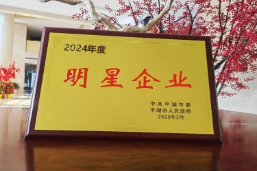 新春新景新形象 | 918博天堂纸业在平湖三干大会上喜摘荣誉！