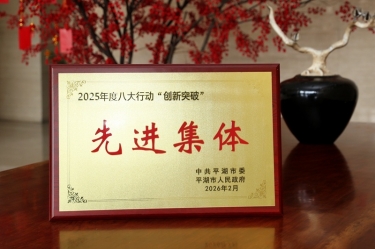 策马扬鞭启新程！918博天堂纸业在平湖市三级干部大会上荣获“创新突破”双项荣誉